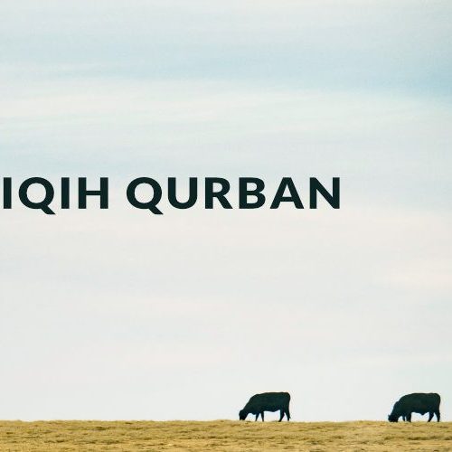 Istilah dan Pengertian Qurban Dalam Fiqih