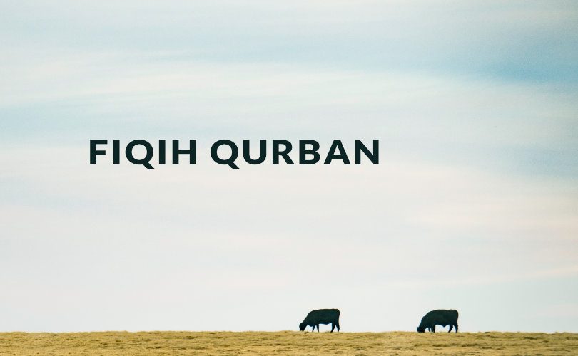 Istilah dan Pengertian Qurban Dalam Fiqih