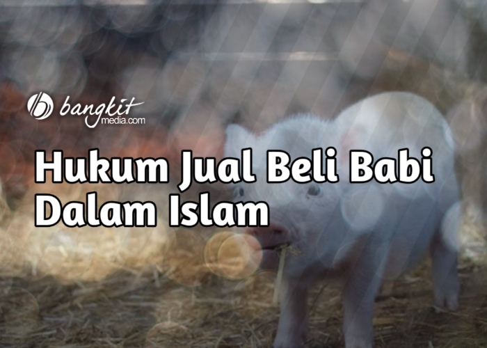 Hukum Jual Beli Babi Dalam Islam