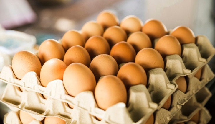 Halalkah Telur Dari Hewan yang Sudah Mati ?