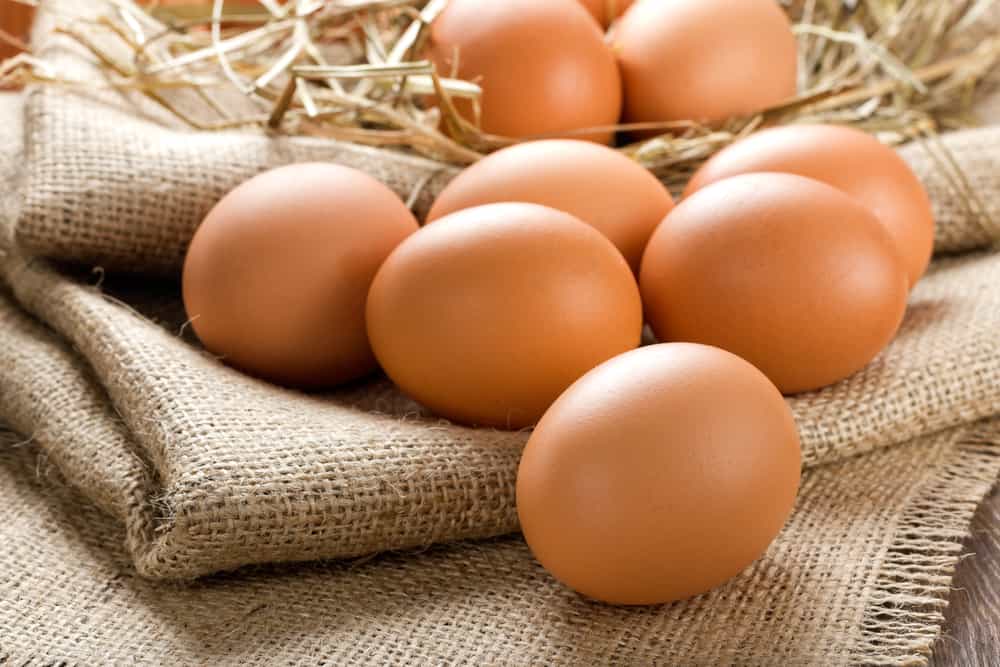 Hadits Seputar Mengkonsumsi Telur